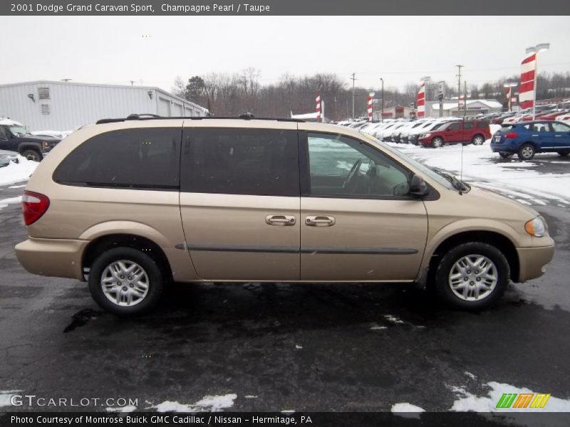 Champagne Pearl / Taupe 2001 Dodge Grand Caravan Sport