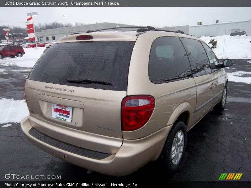 Champagne Pearl / Taupe 2001 Dodge Grand Caravan Sport