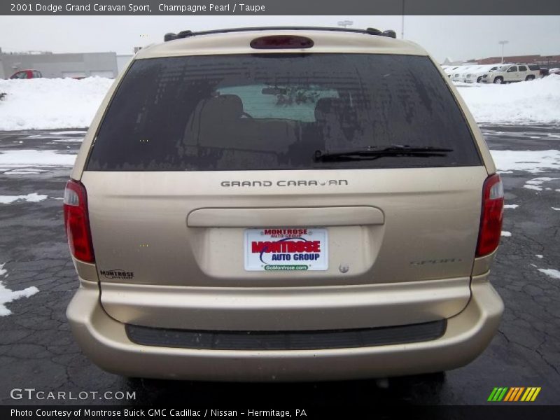 Champagne Pearl / Taupe 2001 Dodge Grand Caravan Sport