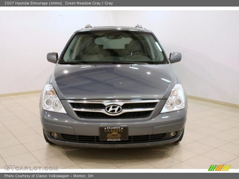 Green Meadow Gray / Gray 2007 Hyundai Entourage Limited