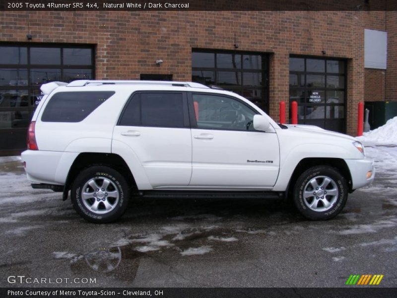 Natural White / Dark Charcoal 2005 Toyota 4Runner SR5 4x4