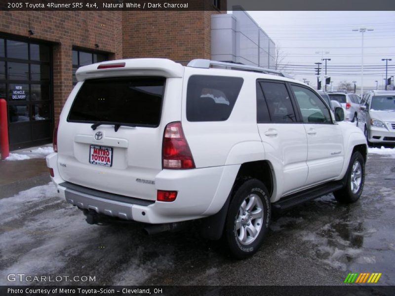 Natural White / Dark Charcoal 2005 Toyota 4Runner SR5 4x4