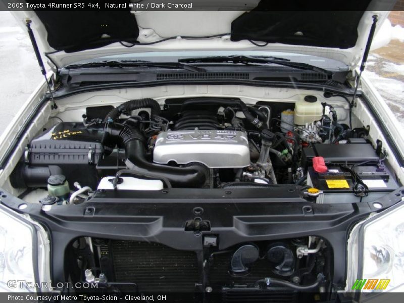 Natural White / Dark Charcoal 2005 Toyota 4Runner SR5 4x4