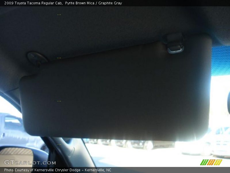 Pyrite Brown Mica / Graphite Gray 2009 Toyota Tacoma Regular Cab