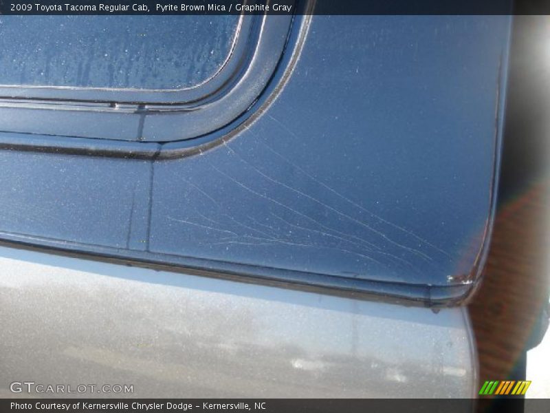 Pyrite Brown Mica / Graphite Gray 2009 Toyota Tacoma Regular Cab