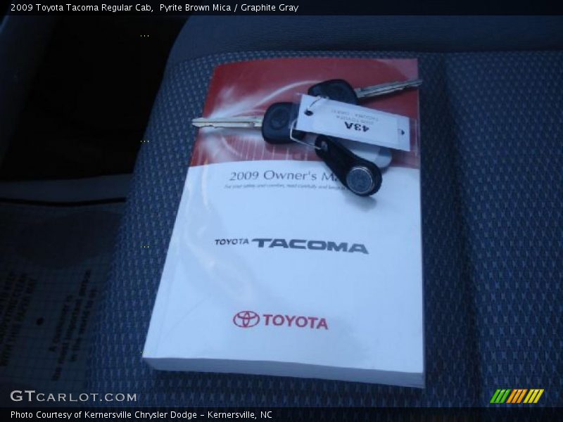 Pyrite Brown Mica / Graphite Gray 2009 Toyota Tacoma Regular Cab