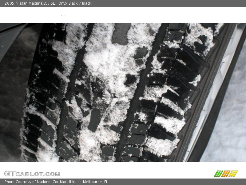 Onyx Black / Black 2005 Nissan Maxima 3.5 SL