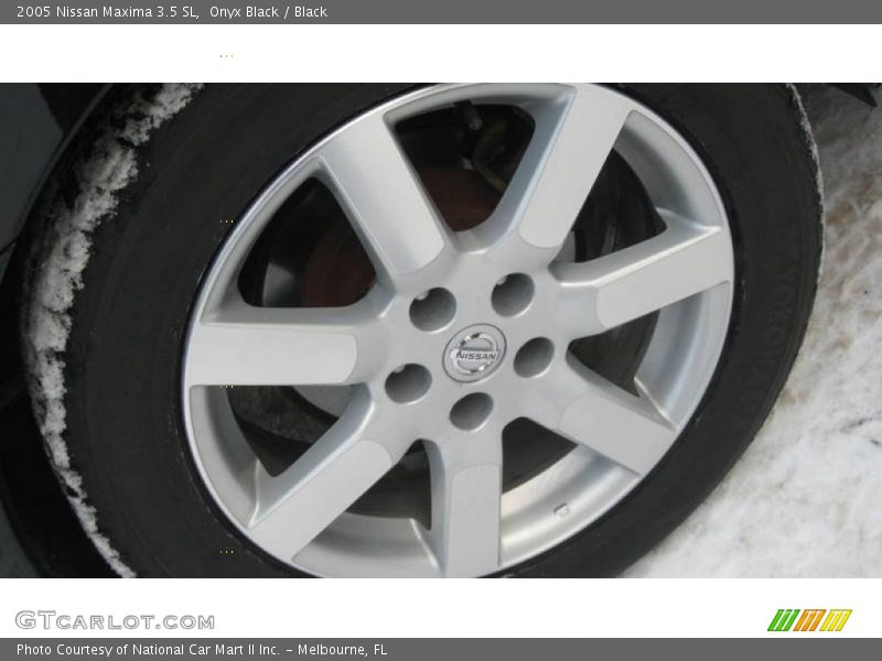 Onyx Black / Black 2005 Nissan Maxima 3.5 SL