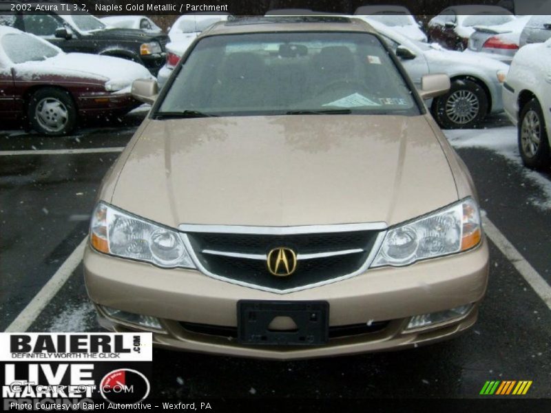 Naples Gold Metallic / Parchment 2002 Acura TL 3.2