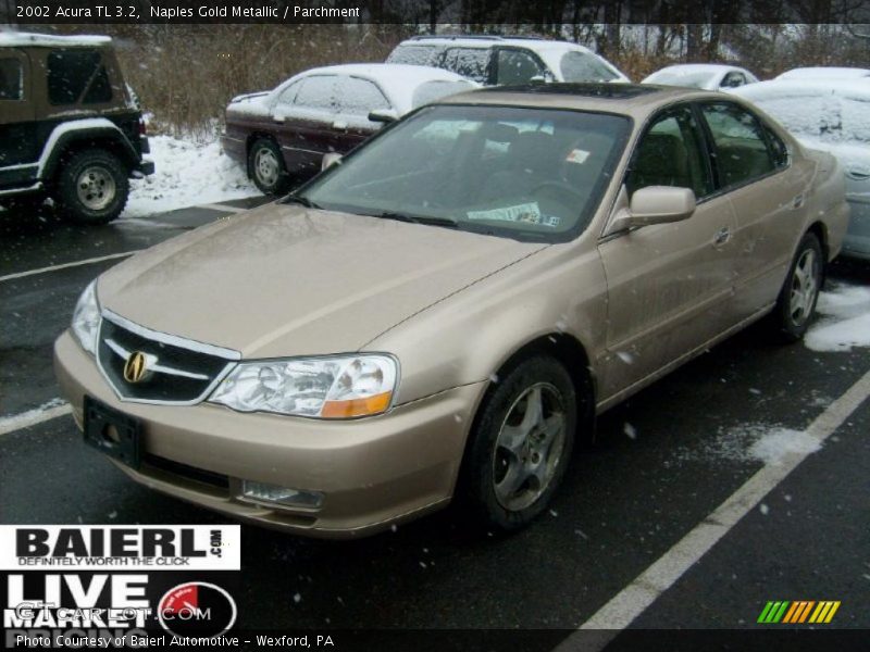 Naples Gold Metallic / Parchment 2002 Acura TL 3.2