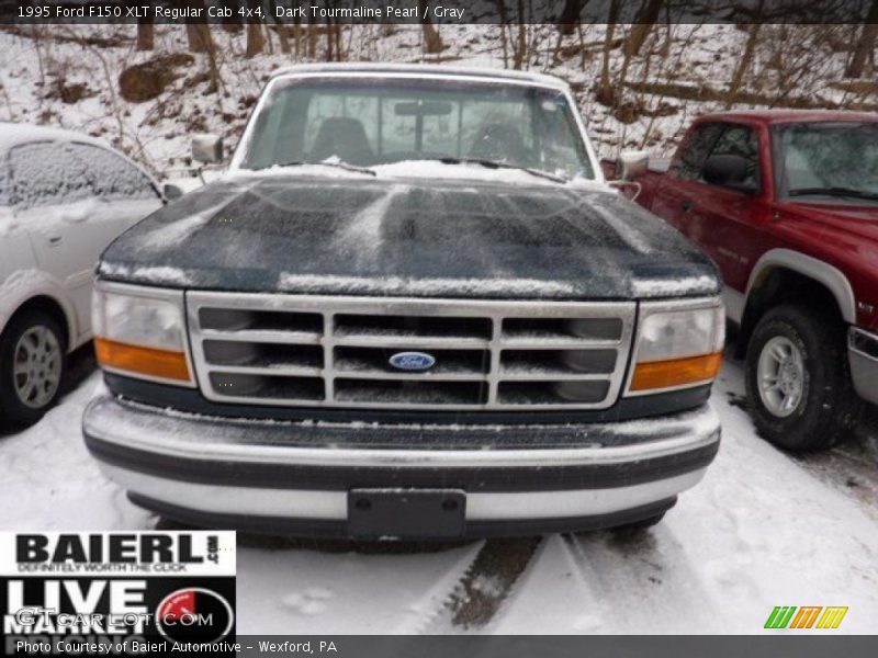 Dark Tourmaline Pearl / Gray 1995 Ford F150 XLT Regular Cab 4x4
