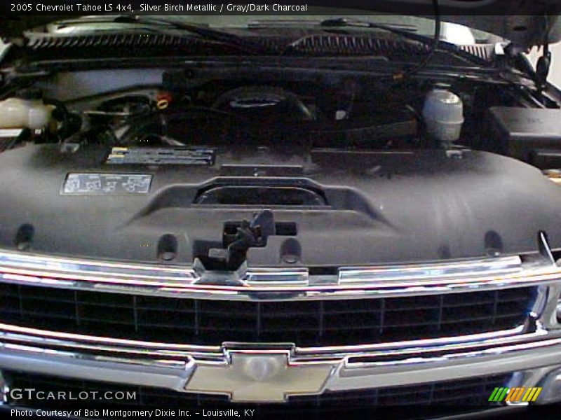 Silver Birch Metallic / Gray/Dark Charcoal 2005 Chevrolet Tahoe LS 4x4
