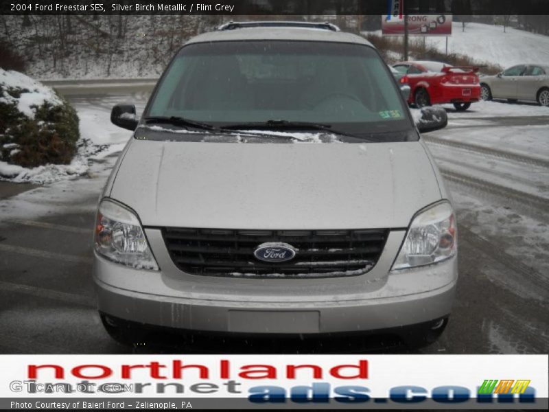Silver Birch Metallic / Flint Grey 2004 Ford Freestar SES