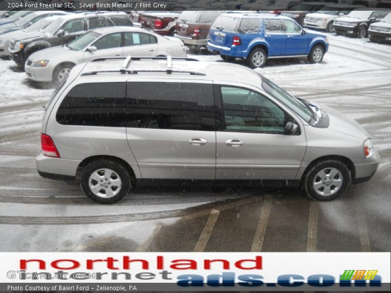 Silver Birch Metallic / Flint Grey 2004 Ford Freestar SES