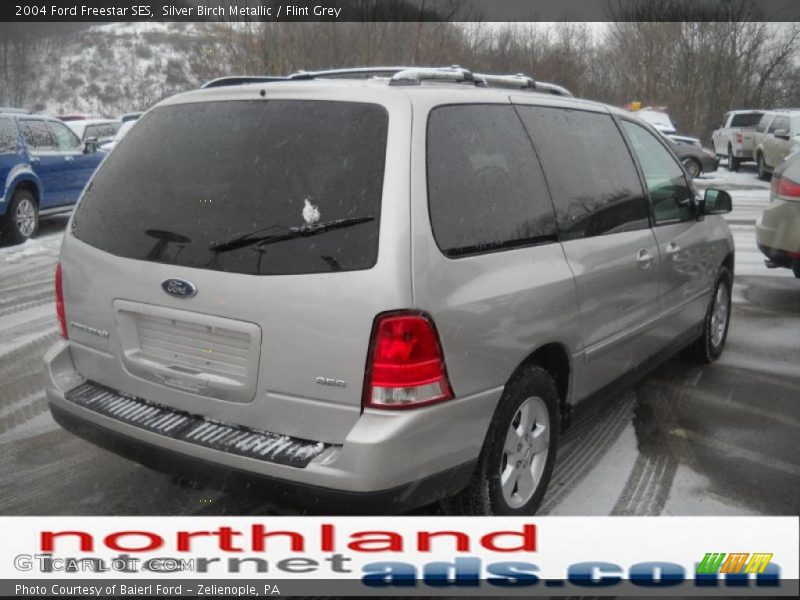 Silver Birch Metallic / Flint Grey 2004 Ford Freestar SES