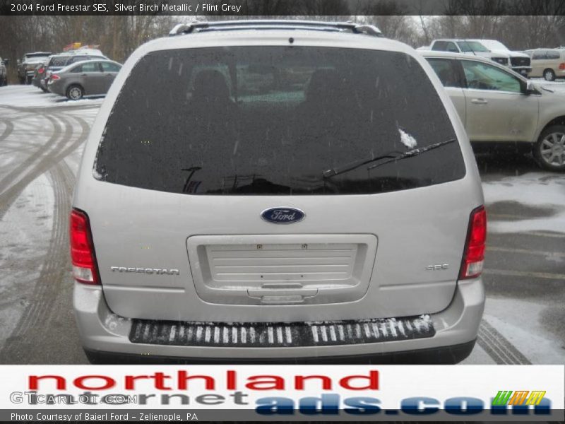 Silver Birch Metallic / Flint Grey 2004 Ford Freestar SES