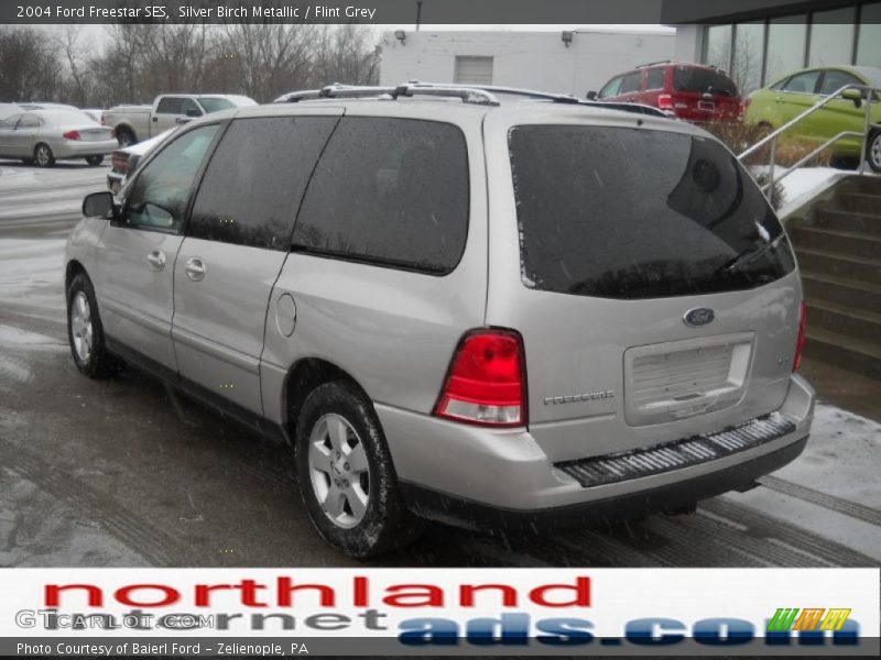 Silver Birch Metallic / Flint Grey 2004 Ford Freestar SES