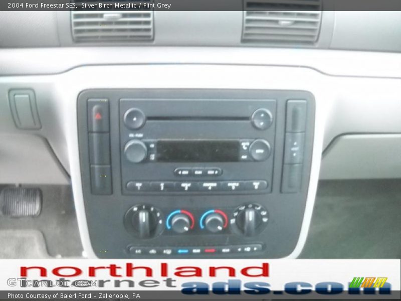 Silver Birch Metallic / Flint Grey 2004 Ford Freestar SES