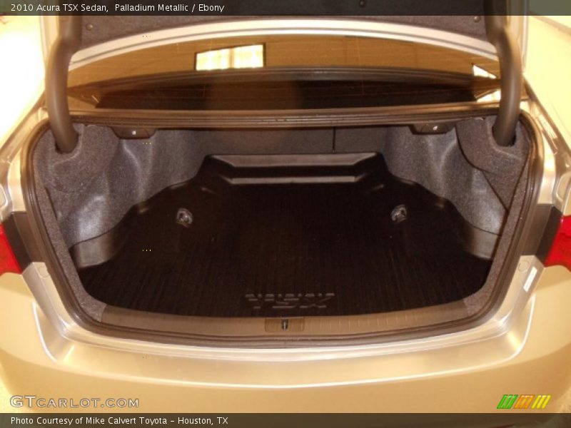 Palladium Metallic / Ebony 2010 Acura TSX Sedan