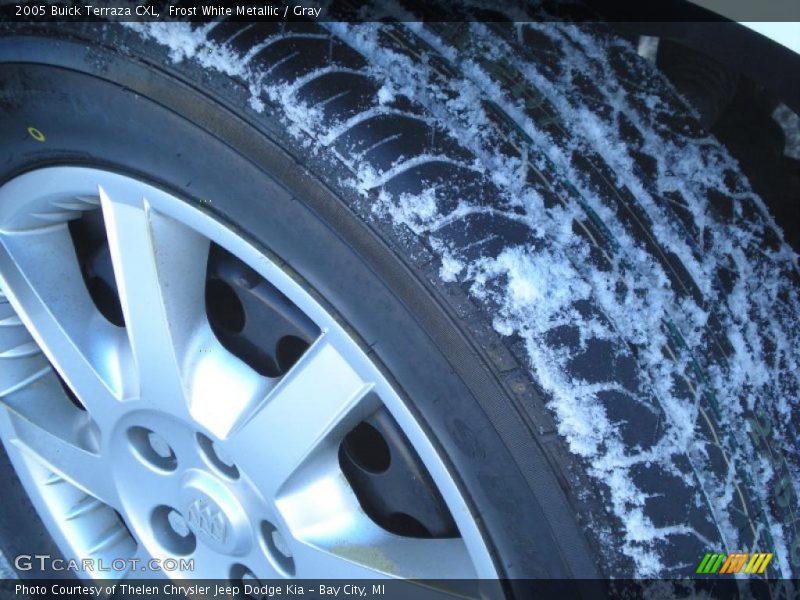 Frost White Metallic / Gray 2005 Buick Terraza CXL