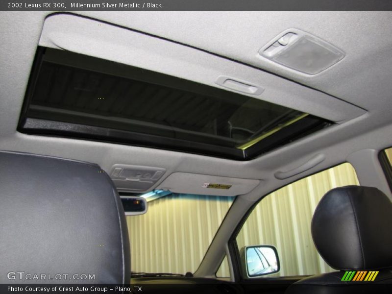 Millennium Silver Metallic / Black 2002 Lexus RX 300