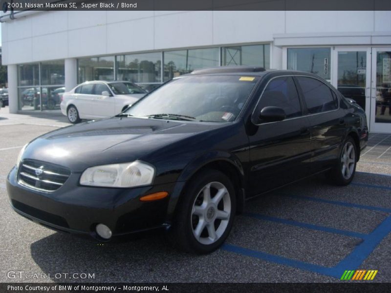 Super Black / Blond 2001 Nissan Maxima SE