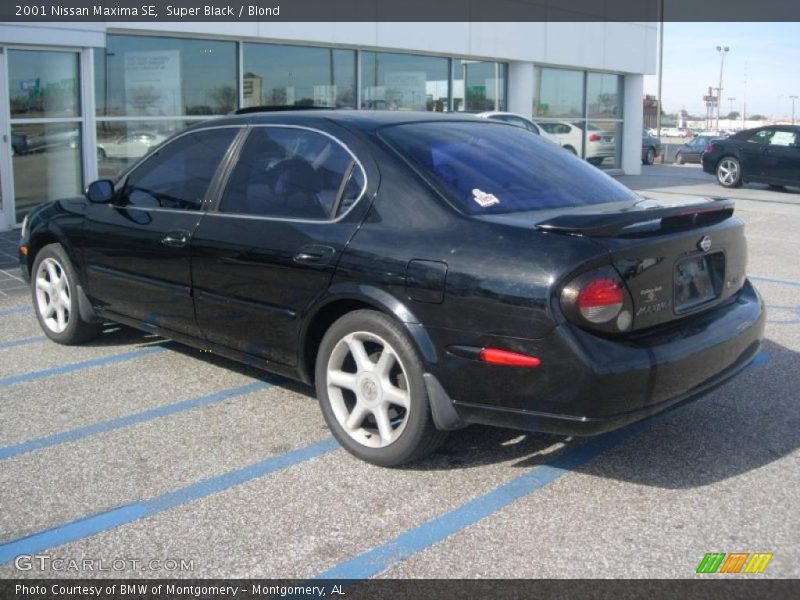 Super Black / Blond 2001 Nissan Maxima SE