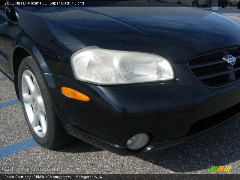 Super Black / Blond 2001 Nissan Maxima SE