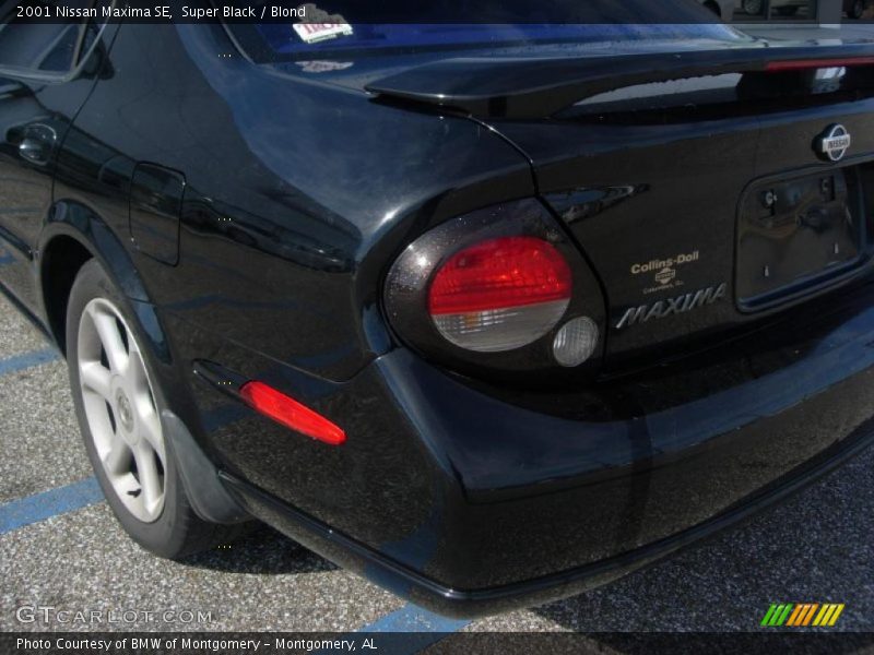 Super Black / Blond 2001 Nissan Maxima SE