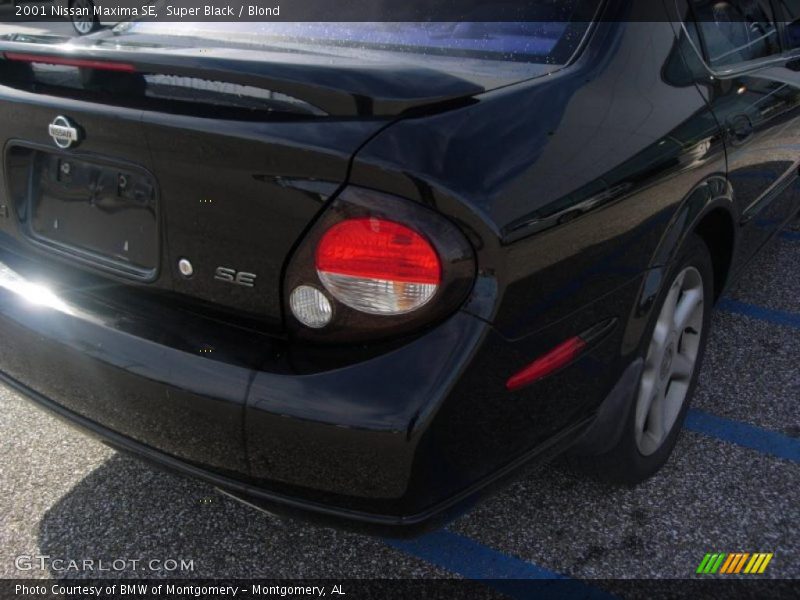 Super Black / Blond 2001 Nissan Maxima SE