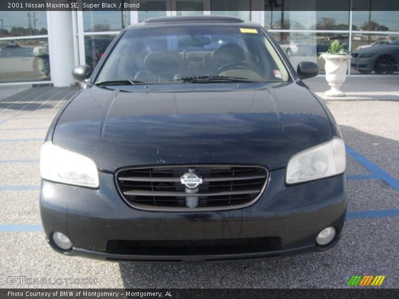 Super Black / Blond 2001 Nissan Maxima SE