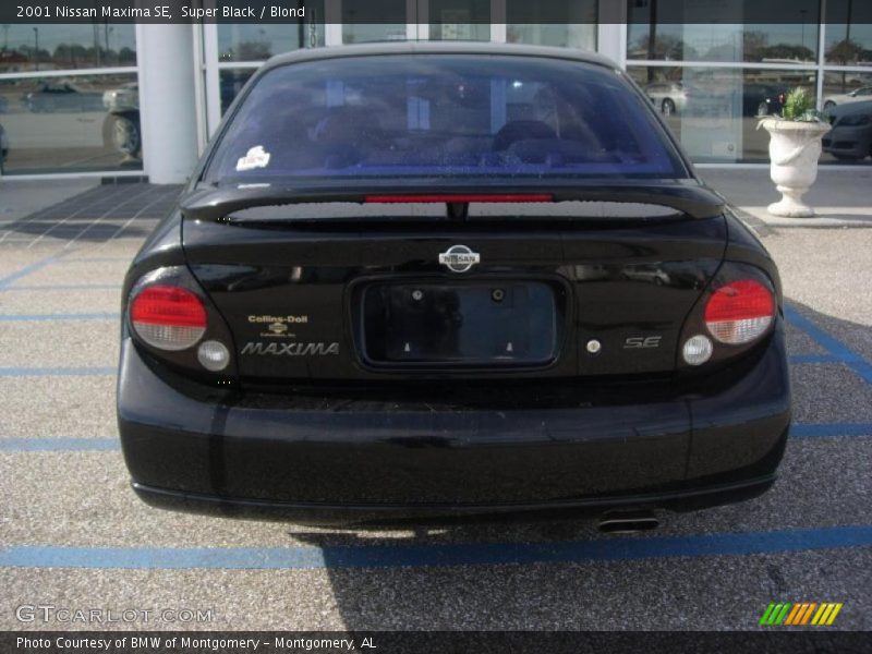 Super Black / Blond 2001 Nissan Maxima SE