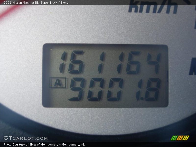 Super Black / Blond 2001 Nissan Maxima SE