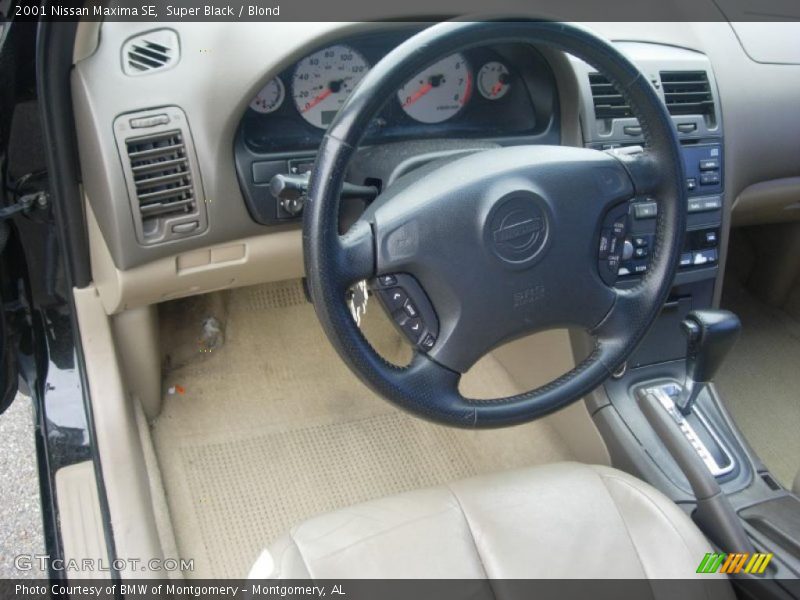 Super Black / Blond 2001 Nissan Maxima SE