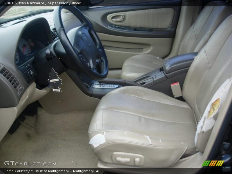 Super Black / Blond 2001 Nissan Maxima SE