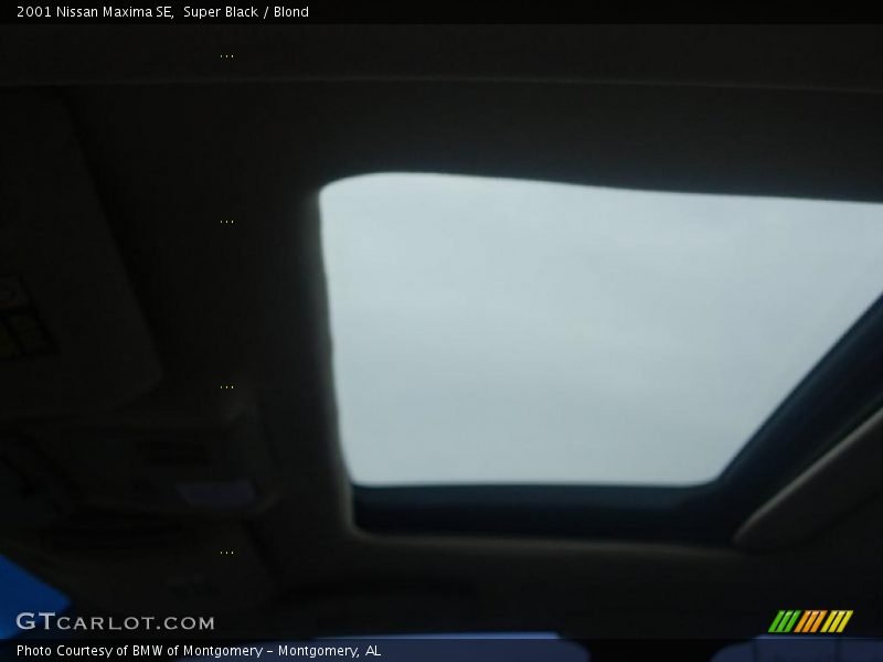Super Black / Blond 2001 Nissan Maxima SE