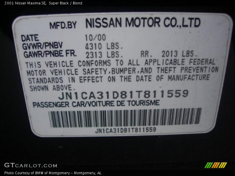 Super Black / Blond 2001 Nissan Maxima SE