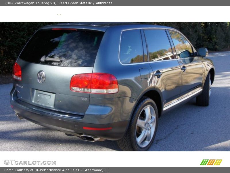 Reed Green Metallic / Anthracite 2004 Volkswagen Touareg V8
