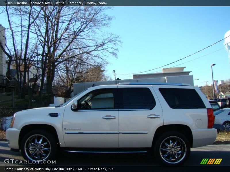 White Diamond / Ebony/Ebony 2009 Cadillac Escalade AWD