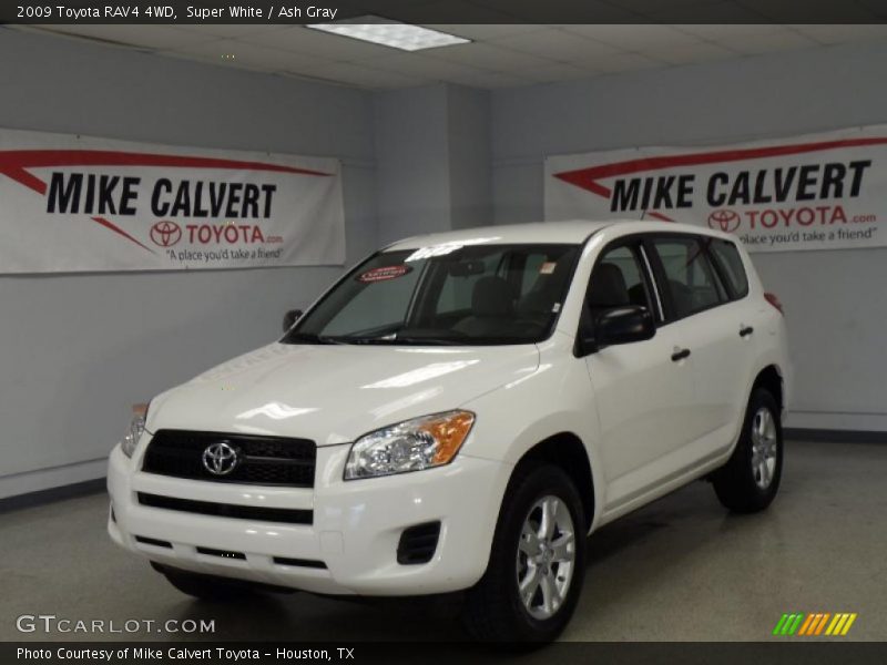 Super White / Ash Gray 2009 Toyota RAV4 4WD