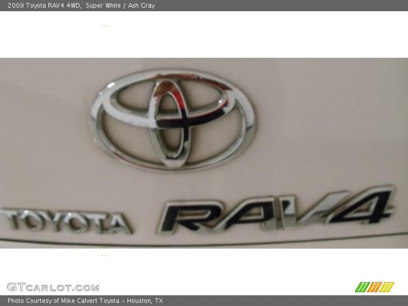 Super White / Ash Gray 2009 Toyota RAV4 4WD
