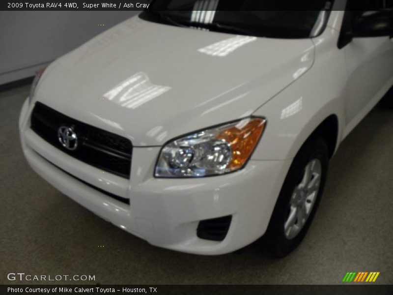 Super White / Ash Gray 2009 Toyota RAV4 4WD