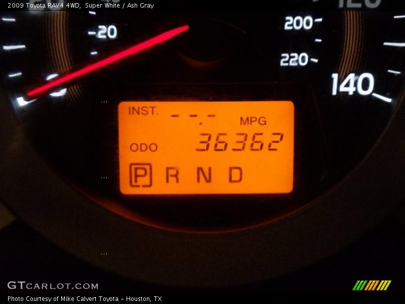 Super White / Ash Gray 2009 Toyota RAV4 4WD
