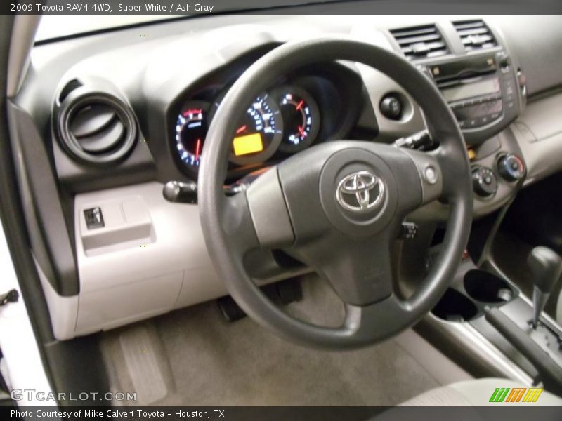 Super White / Ash Gray 2009 Toyota RAV4 4WD