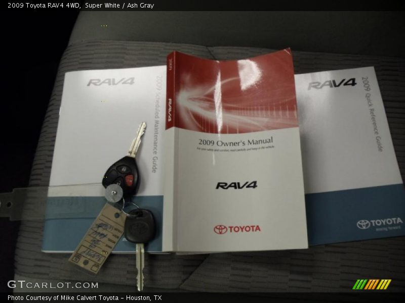 Super White / Ash Gray 2009 Toyota RAV4 4WD