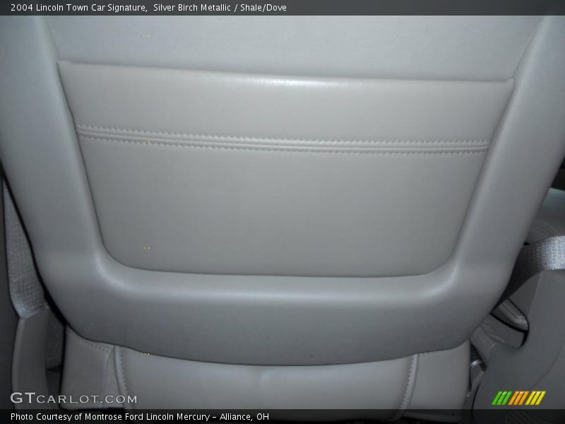 Silver Birch Metallic / Shale/Dove 2004 Lincoln Town Car Signature