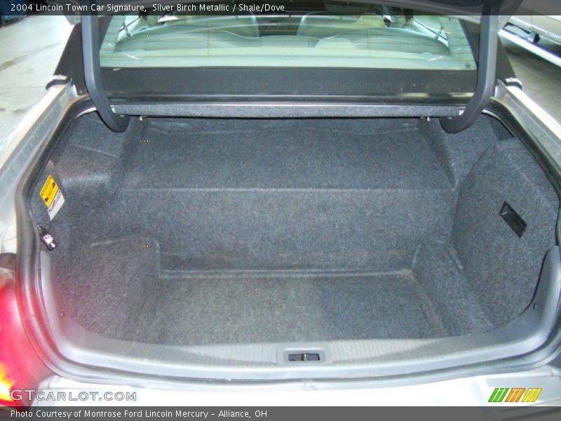 Silver Birch Metallic / Shale/Dove 2004 Lincoln Town Car Signature