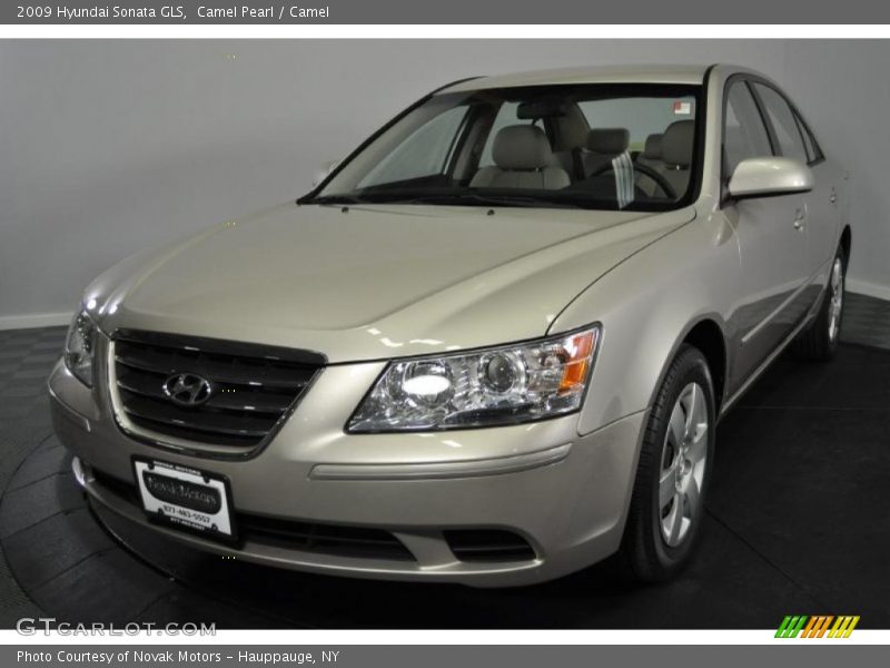 Camel Pearl / Camel 2009 Hyundai Sonata GLS