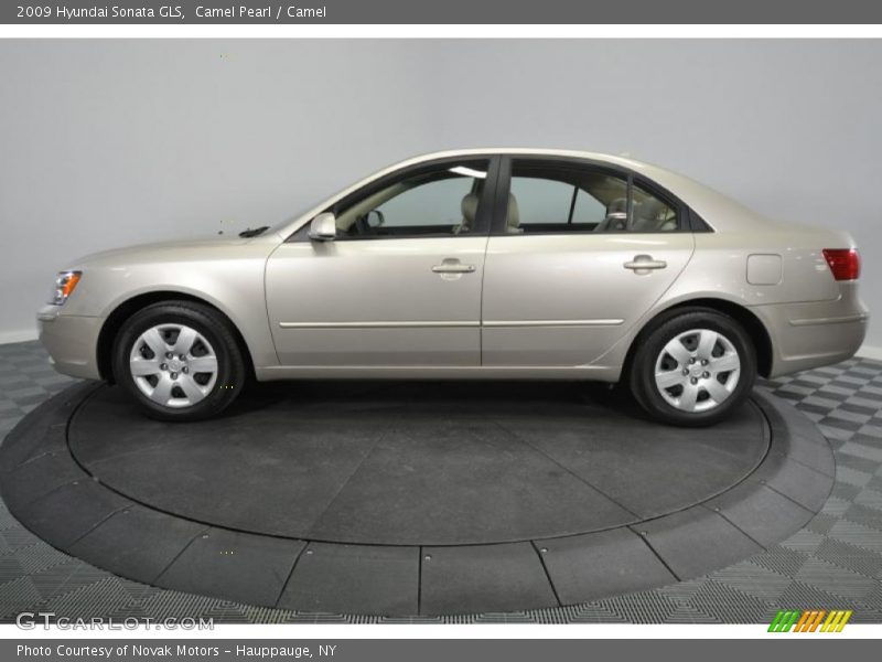 Camel Pearl / Camel 2009 Hyundai Sonata GLS
