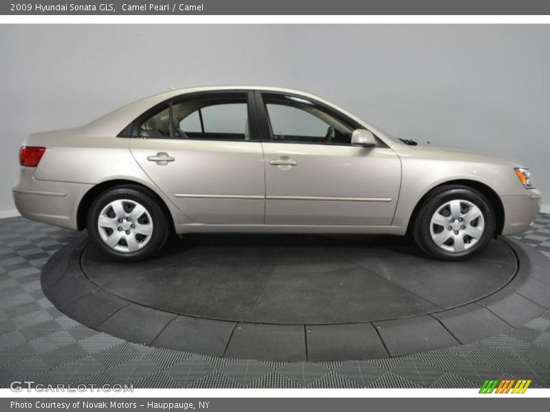 Camel Pearl / Camel 2009 Hyundai Sonata GLS